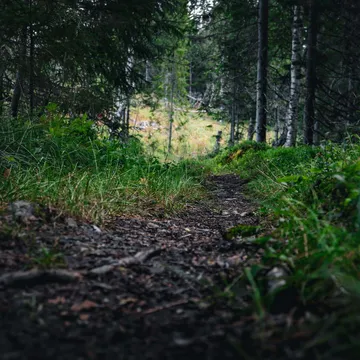 Päråkerturen i Funäsdalen