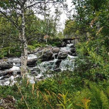 Svanåfallet i Tänndalen