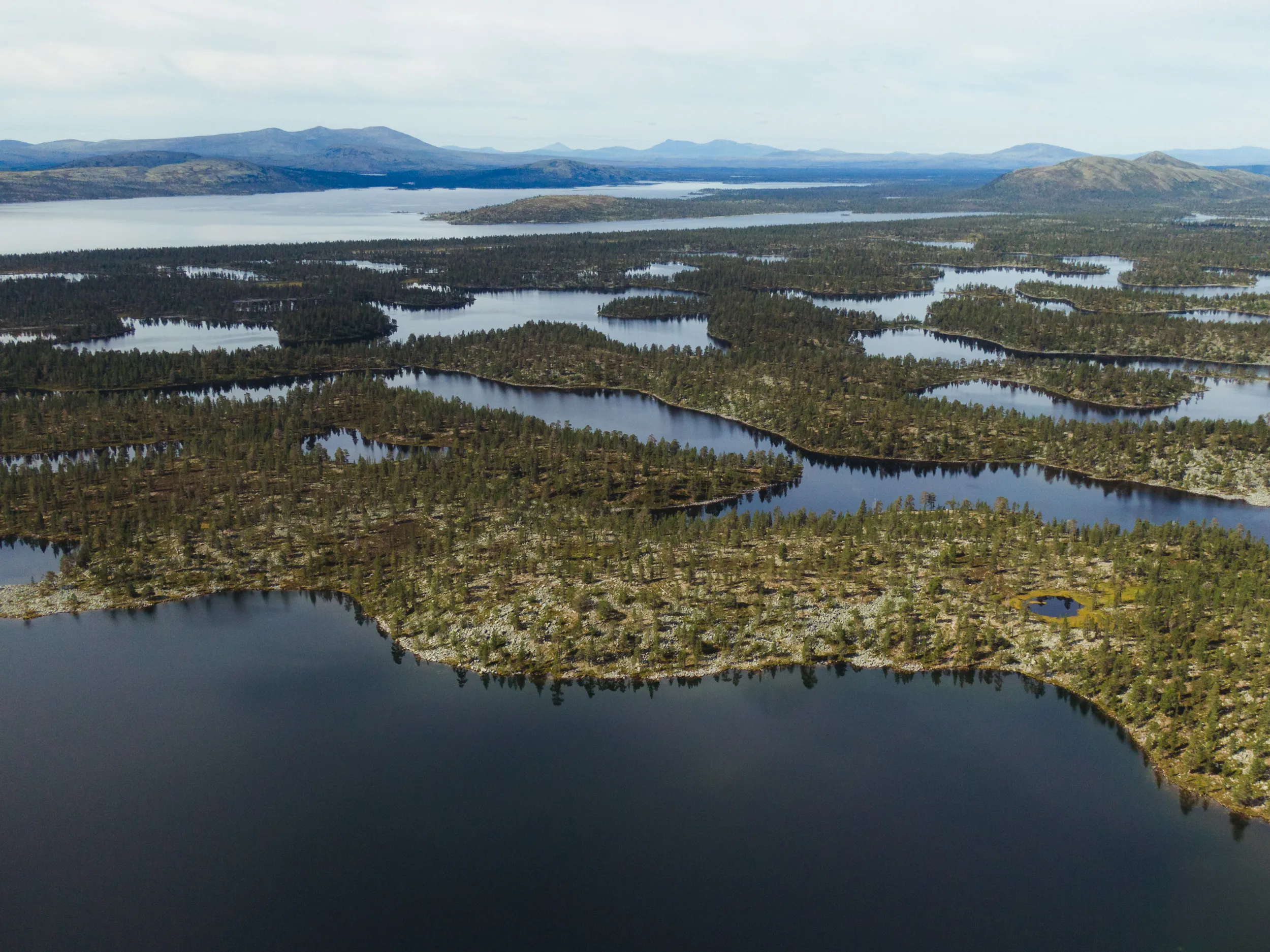 Flygbild över Rogenområdet med sjöar, skog, och fjäll i horisonten.