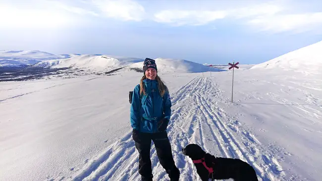 Kvinna åker turskidor med hund på fjället i vårvintern