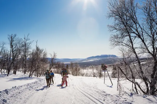 Familj åker längdskidor på fjället