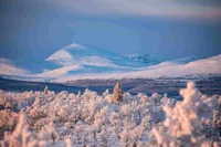 Skarvarna i vinterskrud