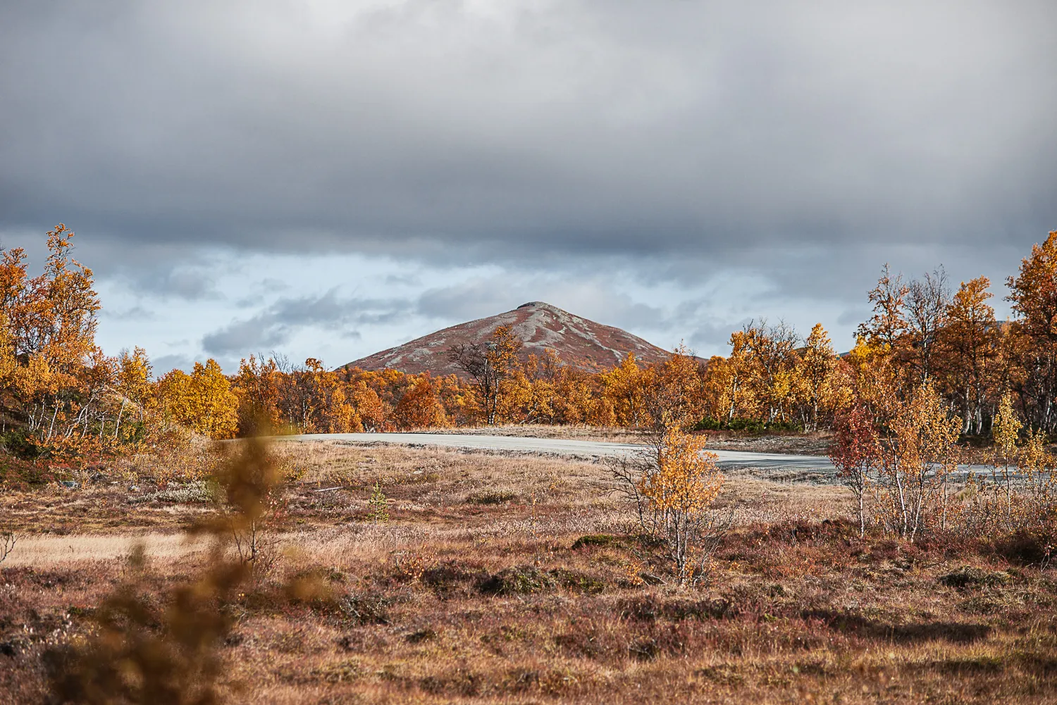 Cykla gravel i Funäsfjällen foto Wilda Nilsson