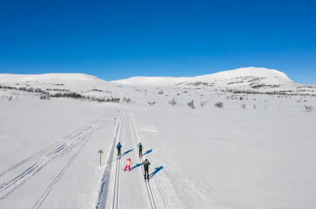 Tre personer åker längdskidåkning på fjället