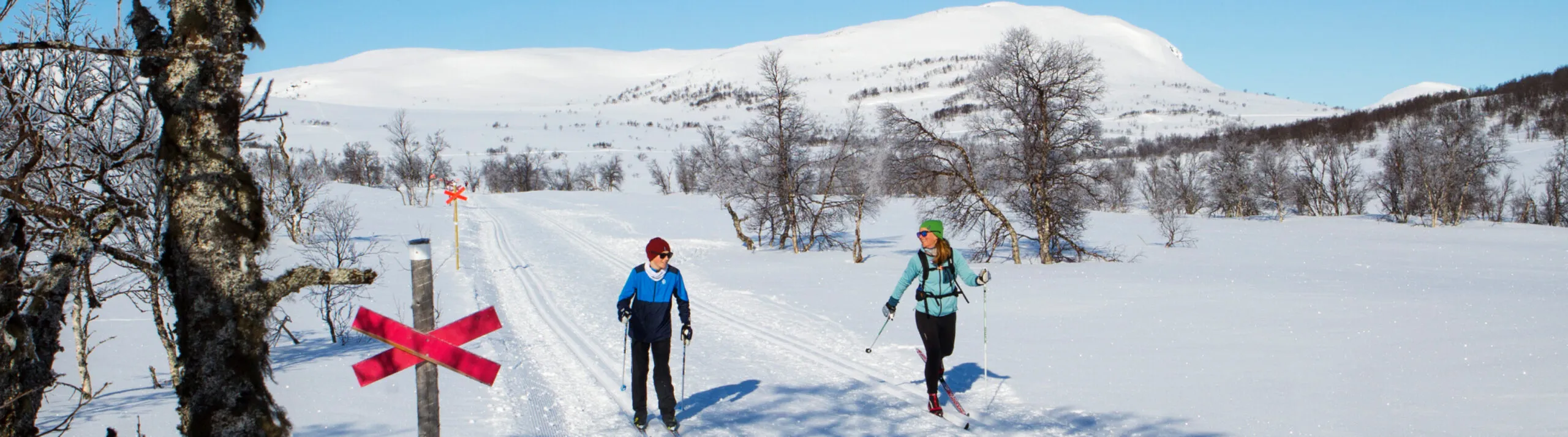 Kvinna och barn åker skidor på fjället